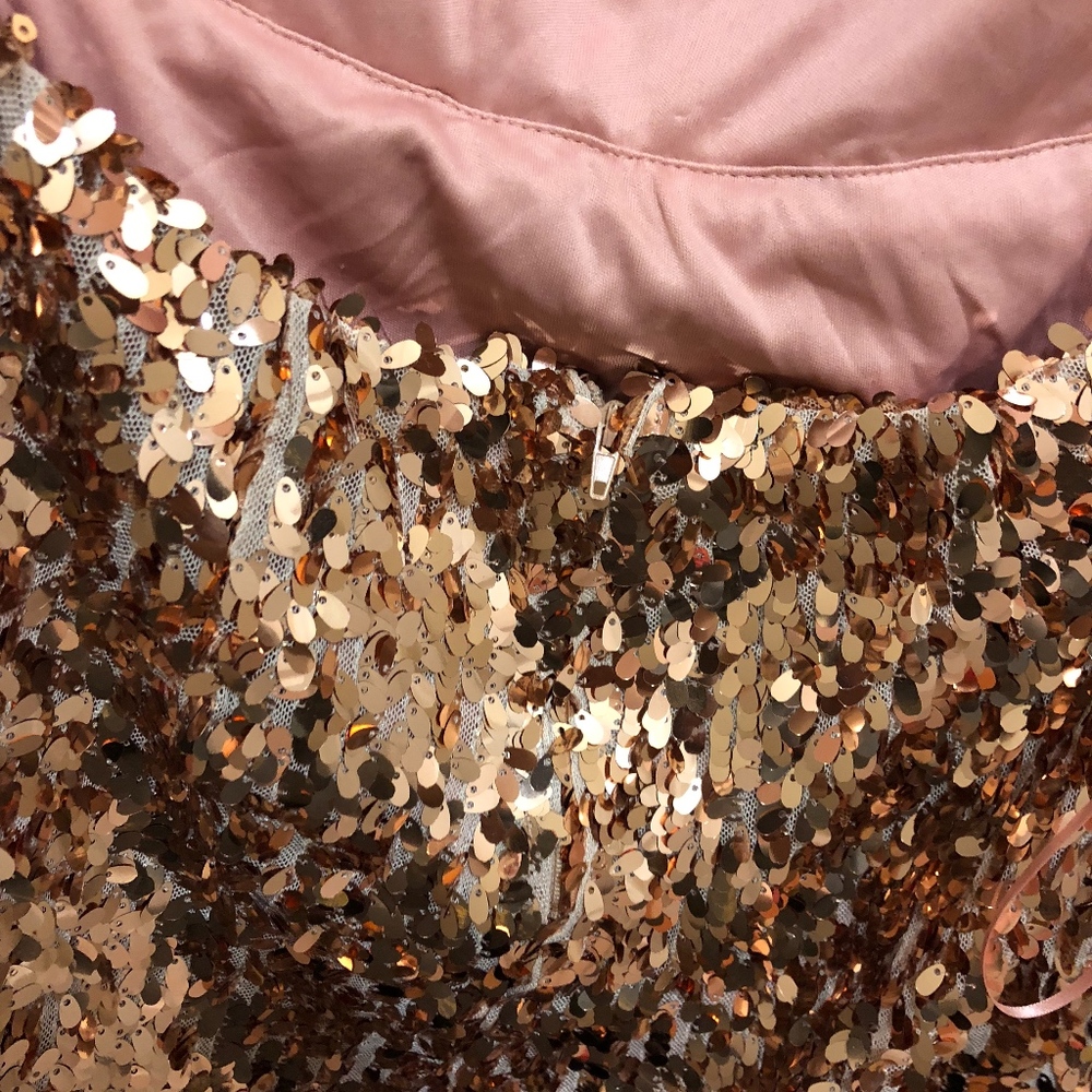 Rose Gold Sequin Dress - Picture 5 of 5